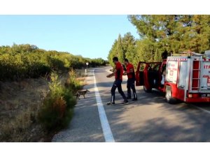 Yangına giden itfaiye ekipleri karşılaştıkları tilkiyi simitle besledi