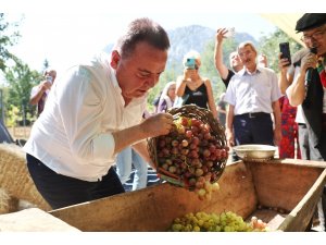 Antalya Gastronomi Festivali’nin ikinci gününde mor üzüm hasadı