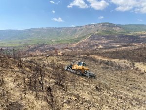 Gülnar’da yanan ormanlık alanlarda ağaçlandırma çalışmalarına başlandı