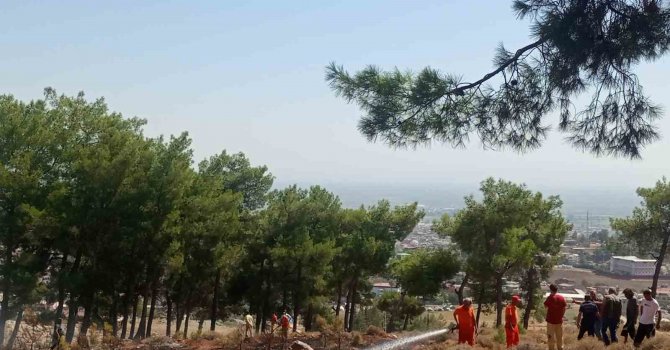 Hatay’da ormanlık alandaki örtü yangını söndürüldü