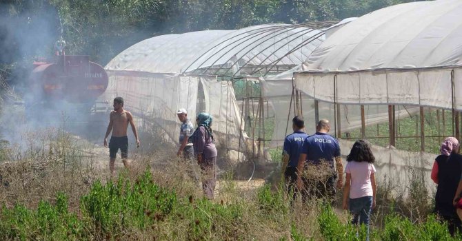 Antalya’da seralara yakın alandaki yangın korkuttu