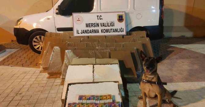 Mersin’de 161 bin 200 kaçak makaron ele geçirildi