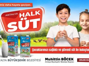 Büyükşehir’in Halk Süt Projesi Başlıyor