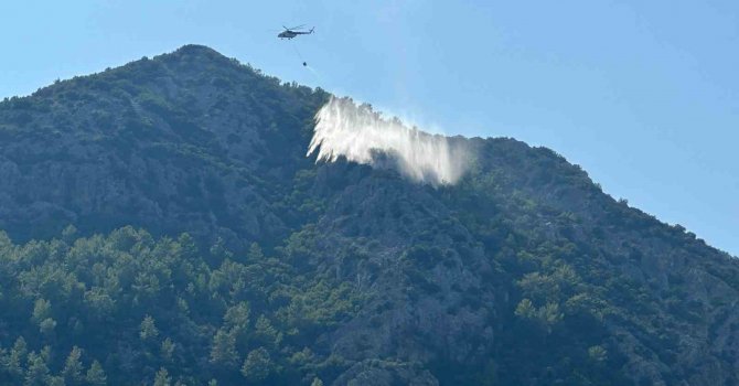 Yıldırım düşmesi sonucu çıkan yangın havadan yapılan müdahaleyle söndürüldü