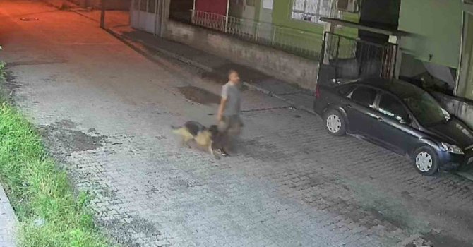 Çaldığı köpekle sokakta salına salına gezen şahıs, polis ekiplerinden kaçamadı