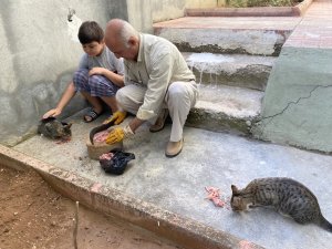 Depremde tedavi edip iyileştirdiler, şimdi ailenin parçası oldu