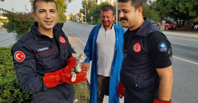 Otomobilin motor kısmına giren yavru kedi, 3 saatte çıkarılabildi