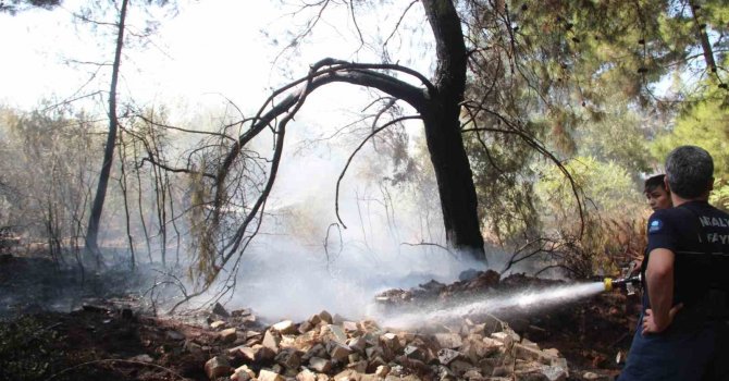 Ormanlık alandaki yangın büyümeden söndürüldü