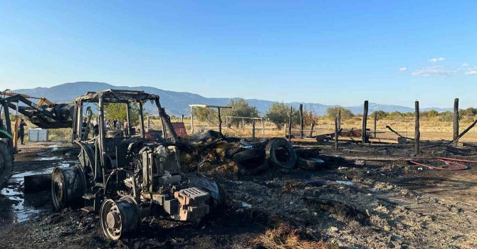 Samanlık yangınında traktör ve saman balyaları küle döndü, 2 hayvan telef oldu