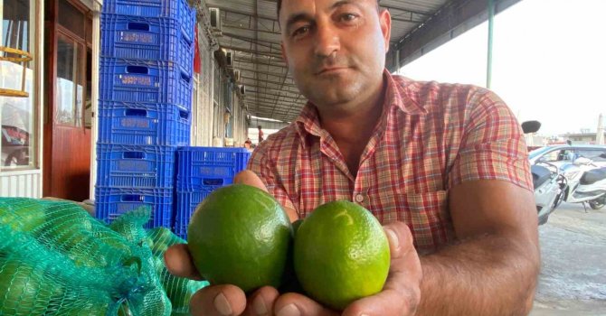 Antalya’da halde limon 3 TL’ye kadar düştü