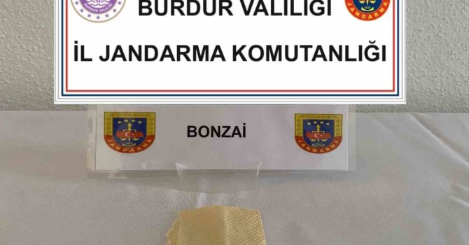 Burdur’da çok miktarda uyuşturucu madde ve tarihi eser ele geçirildi, 1 şüpheli tutuklandı