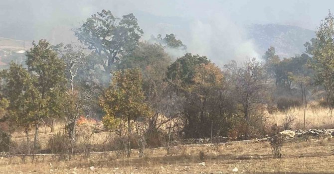 Isparta’da 10 dekar alan küle döndü