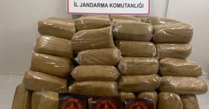 Osmaniye’de 750 kilogram kaçak tütün ele geçirildi