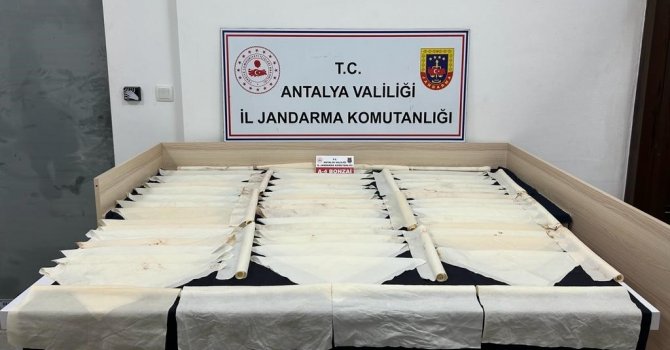 Antalya’da 1 milyon kullanımlık bonzai ele geçirildi