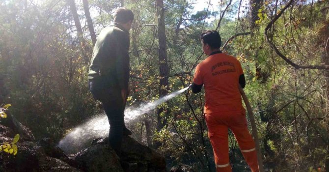 Ormanlık alanda çıkan yangın kontrol altına alındı