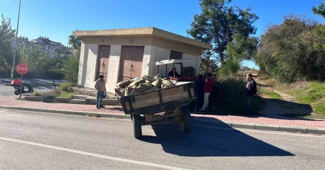 Trafoya çarpan traktörün sürücüsü yaralandı