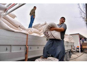 Mersin’de büyükbaş hayvancılıkla uğraşan çiftçilere ’mısır flake’ yem desteği