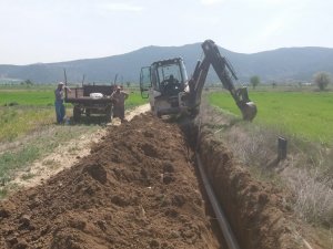 Büyükşehir Belediyesi üreticinin yanında olmaya devam ediyor