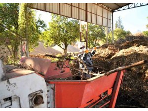 Bitki atıkları vatandaşlar ve çiftçilere yakıt olarak dönecek