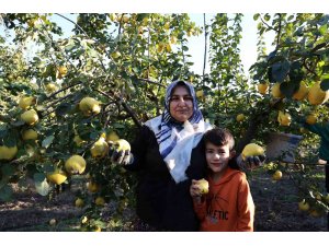 Rusya’nın ayvası Kahramanmaraş’tan