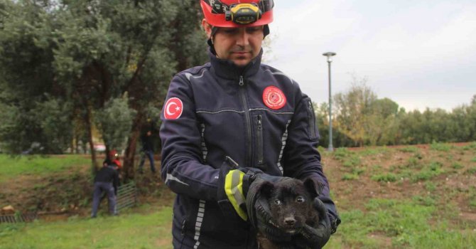 İtfaiye erinden su borusundaki köpeğe kahramanca kurtarış