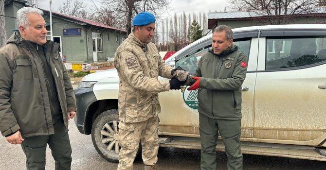 Yaralı atmacaya jandarma ekipleri sahip çıktı