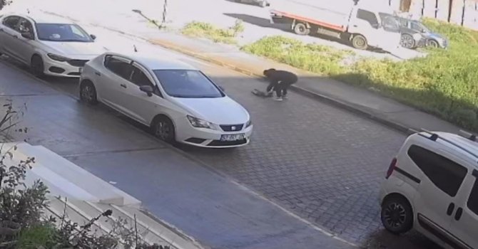 Otomobilin çarpıp kaçtığı kedi, sahibinin kucağında öldü