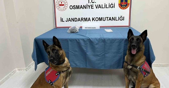 Osmaniye’de jandarmadan uyuşturucu operasyonu