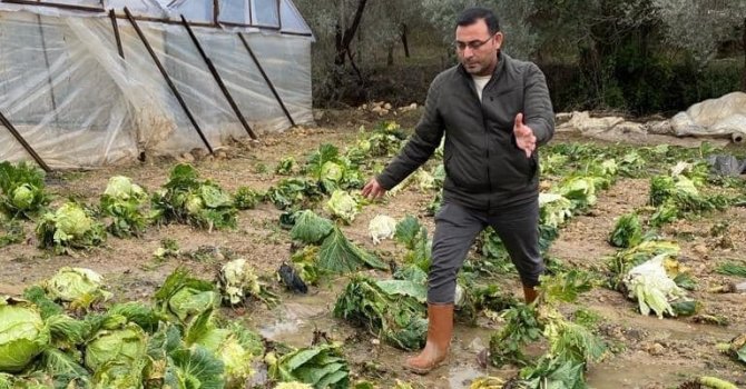 Alanya’da sağanak yağış sera ürünlerine hasar verdi