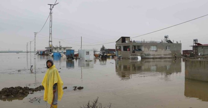 Göle dönen Amik Ovası’nda evler ve ahırlar su içerisinde kaldı