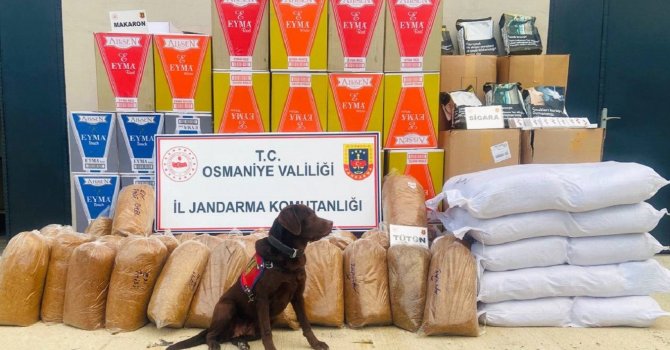 Osmaniye’de 487 kilo kaçak tütün ele geçirildi