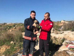 Definecilerin kazdığı kuyuya düşen köpek itfaiye ekiplerince kurtarıldı