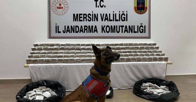 Mersin’de 61 bin 700 adet kaçak makaron ele geçirildi