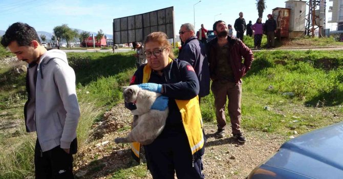 Tutuşan izolasyon malzemeleri çatıyı küle çevirdi, bina sakinleri gözyaşlarına hakim olamadı