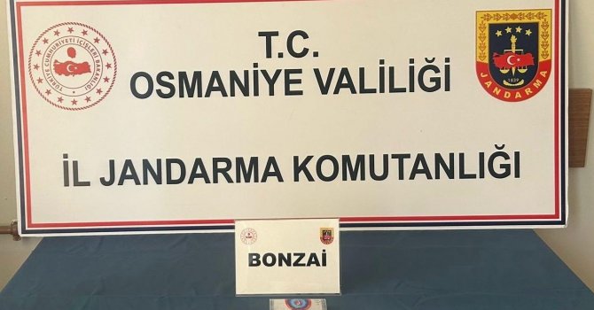 Osmaniye’de jandarmadan uyuşturucu ve kaçakçılık operasyonları: 25 gözaltı