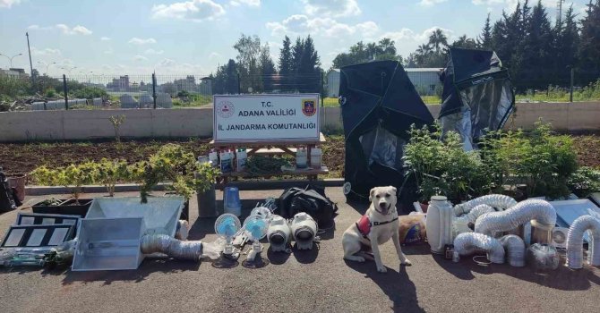 Adana’da ’iklimlendirme sistemli’ uyuşturucu üretimine 5 gözaltı