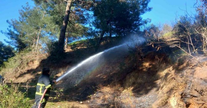 Belen’de ormanlık alanda çıkan yangın söndürüldü