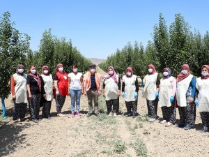 Başkan Böcek’in destek verdiği KORKOOP kadınları harikalar yaratıyor