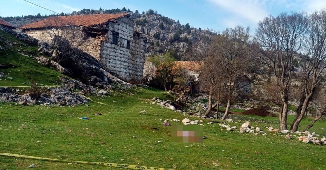 Yaşlı kadının ölümüne sebep olan çoban köpeklerinin sahibi tutuklandı