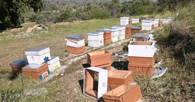 Antalya’da fırtına ve dolu tarım alanlarını vurdu