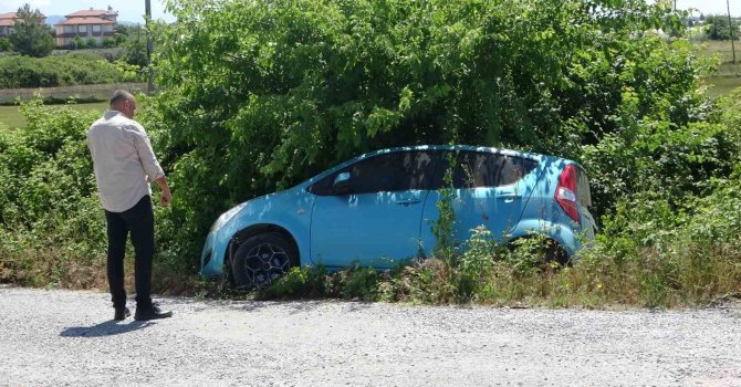 Böğürtlenler şarampole inen otomobile hava yastığı oldu, sürücünün burnu dahi kanamadı