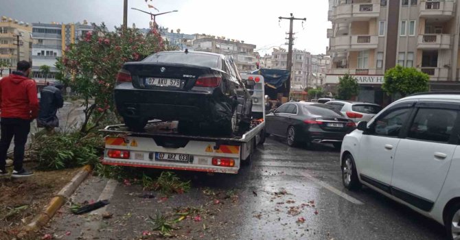 Alanya’da refüje çıkan otomobil ağaçları devirdi