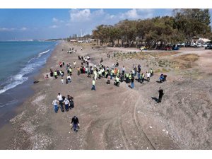 Caretta carettaların yumurtlama alanlarından Kazanlı sahili temizlendi