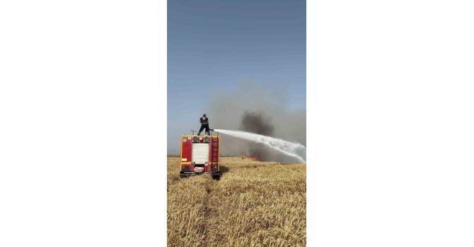 Hatay’da buğday tarlasında yangın