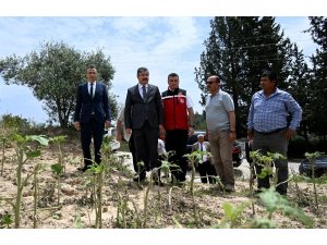 Vali Yılmaz, şiddetli yağmur nedeniyle zarar gören tarım arazilerinde inceleme yaptı