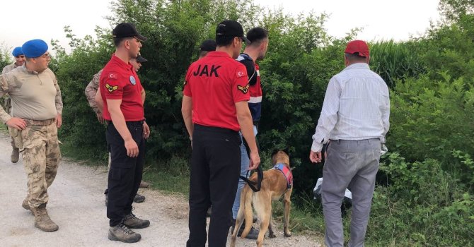 Mısır tarlasında kaybolan bir kişi özel eğitimli köpeklerle aranıyor