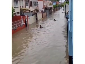 Sulama kanalı değil yol