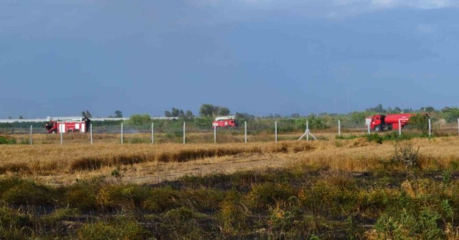 Antalya’da 250 dekarlık buğday tarlası hasat yapılamadan kül oldu