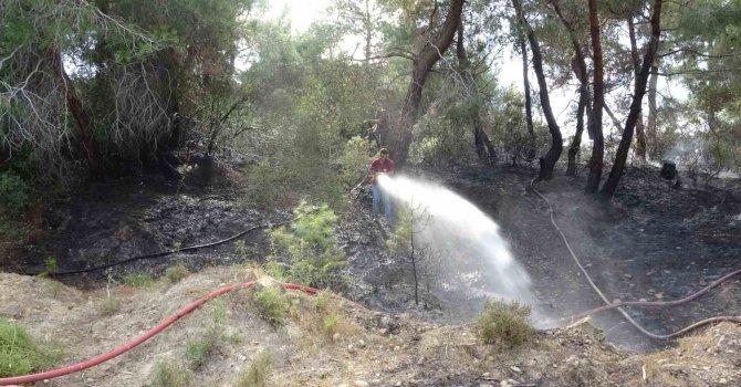 Manavgat’ta orman yangını ucuz atlatıldı