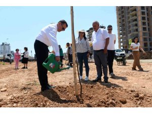 Yenişehir Belediyesi ağaçlandırma çalışmalarını sürdürüyor